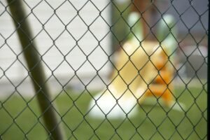 Installation wire mesh fences