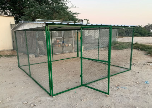 شبوك دواجن